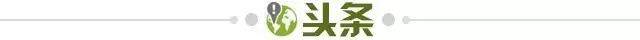lol全球总决赛-【早报】大熊“终于”被抓了...